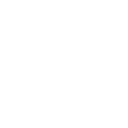LC_WEB_source_type_influencers